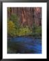 Virgin River Flows Through Zion Canyon, Utah, Usa by Jerry Ginsberg Limited Edition Print
