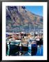 Fishing Boats In Hout Bay Marina, Cape Town, South Africa by Pershouse Craig Limited Edition Print