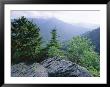 View From The Alum Cave Bluffs Trail In Great Smoky Mountains National Park, Tennessee, Usa by Robert Francis Limited Edition Print