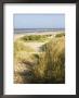 Beach, Southwold, Suffolk, England, United Kingdom by Amanda Hall Limited Edition Print
