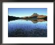 Stac Pollaidh From Loch Lurgainn, Scotland by Iain Sarjeant Limited Edition Print