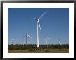 Wind Turbines Generating Electricity by Taylor S. Kennedy Limited Edition Print