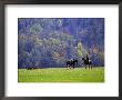 Two Women Play Polo On A Field by Kate Thompson Limited Edition Print