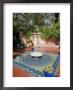 Jardin Majorelle, Marrakech, Morocco, North Africa, Africa by Ethel Davies Limited Edition Pricing Art Print