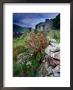 Abandoned Cottage On The Famine Relief Road In Killary Harbour, Connemara, Connaught, Ireland by Gareth Mccormack Limited Edition Print