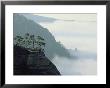 Early Morning Fog Rises Over The Elbe River In Elbsandstein Region by Norbert Rosing Limited Edition Print
