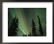 The Northern Lights Illuminate The Evening Sky Over North Pole by Maria Stenzel Limited Edition Print