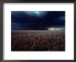 Lightning Flashes Above A Kansas Wheat Field by Cotton Coulson Limited Edition Print
