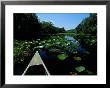 A Canoe Floats On A River Filled With Water Lilies by Raymond Gehman Limited Edition Pricing Art Print