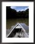 Dugout Canoe On The Amazon River Surrounded By Tropical Rainforest, Peru by Jason Edwards Limited Edition Print