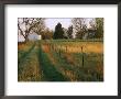 Historic Stevens Creek Farm Near Lincoln, Nebraska by Joel Sartore Limited Edition Print