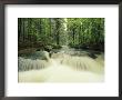 Waterfall Time Exposure, Bayerischer Wald National Park, Germany by Norbert Rosing Limited Edition Print