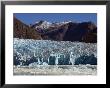 Blue Ice Along Glacier Front, Leconte Glacier, Alaska by Ralph Lee Hopkins Limited Edition Print