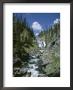 Jane O'callaghan Pricing Limited Edition Prints