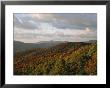 Earling Morning Landscape, Little Switzerland, Blue Ridge Parkway, Usa by James Green Limited Edition Print