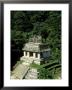 Palenque Mayan Ruins, Chiapas, Mexico by Paul Franklin Limited Edition Print