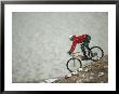 A Man Mountain-Biking Near Marble Canyon On The Utah Border by Bill Hatcher Limited Edition Pricing Art Print