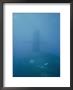 The Uss Narwhal Ssbn 617, Now Decommisioned by Bill Curtsinger Limited Edition Print