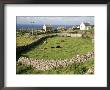 Walled Fields, Inishmore, Aran Islands, County Galway, Connacht, Eire (Republic Of Ireland) by Ken Gillham Limited Edition Print