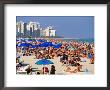 Crowds Sunbathing On South Beach On New Year's Eve, Miami, Florida by Eddie Brady Limited Edition Print
