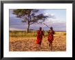 Two Maasai Morans Walking With Spears At Sunset, Amboseli National Park, Kenya by Alison Jones Limited Edition Print