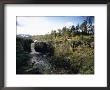 High Force Waterfall, The Pennine Way, River Tees, Teesdale, County Durham, England by David Hughes Limited Edition Pricing Art Print