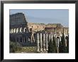 The Colosseum, Rome, Lazio, Italy by Christian Kober Limited Edition Print
