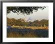 London Skyline From Richmond Park, London, England, United Kingdom by Charles Bowman Limited Edition Print