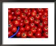 Tomatoes For Sale, Istanbul, Turkey by Greg Elms Limited Edition Print