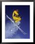 Ski Jumping by James Kay Limited Edition Print