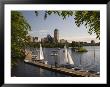 Boating On The Charles River, Boston, Massachusetts, New England, Usa by Amanda Hall Limited Edition Print