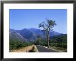 Mount Canigou, Pyrenees-Orientale, Languedoc Roussillon, France by David Hughes Limited Edition Print