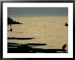 Men Are Silhouetted Against The Sea As They Fish And Relax On The Beirut Coastline, August 24, 2006 by Matt Dunham Limited Edition Print