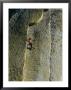 A Rock Climber Scales The Flat Rock Surface Of A Cliff Near Needles, California by Barry Tessman Limited Edition Print