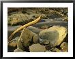 Rock Creek Rushes Past Large Boulders And Driftwood At Sunset by Raymond Gehman Limited Edition Print
