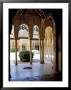 Alhambra, Unesco World Heritage Site, Granada, Andalucia (Andalusia), Spain by James Emmerson Limited Edition Print