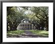 Exterior Of Plantation Home, Oak Alley, New Orleans, Louisiana, Usa by Adina Tovy Limited Edition Print