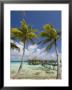 Pearl Beach Resort, Tikehau, Tuamotu Archipelago, French Polynesia Islands by Sergio Pitamitz Limited Edition Print