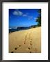 Footprints In The Sand On The North Shore, Oahu, Hawaii, Usa by Ann Cecil Limited Edition Print