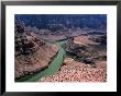 Grand Canyon West, Hualapai Indian Reservation View, Usa by Mark Newman Limited Edition Print
