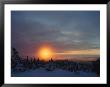Winter Twilight View, Harz/Hochharz National Park, Germany by Norbert Rosing Limited Edition Pricing Art Print