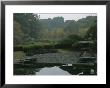 Japanese Garden Near The Imperial Palace by Eightfish Limited Edition Print