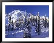 Mount Rainier After A Winter Storm, Mt. Rainier National Park, Washington, Usa by Jamie & Judy Wild Limited Edition Print