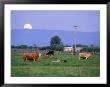 Farm Scene West Of Chiloguin, Oregon by Phil Schermeister Limited Edition Print