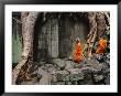 Angkor Wat Temple With Monks, Siem Reap, Cambodia by Steve Raymer Limited Edition Print