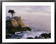 Lone Cypress Tree On A Rocky Point Near Pebble Beach by Mark Cosslett Limited Edition Pricing Art Print
