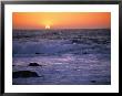 California Sunset by Paul Nicklen Limited Edition Print