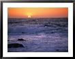California Sunset by Paul Nicklen Limited Edition Pricing Art Print