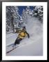 A Skier Cuts Through Some Untouched Powder In Montana by Bobby Model Limited Edition Print
