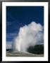 A Geyser Erupts At Yellowstone National Park by Paul Nicklen Limited Edition Pricing Art Print